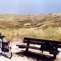klicken zum Vergrößern -> Urlaub Nordholland 2001 (Callantsoog -> Den Helder)