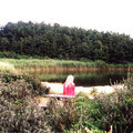 klicken zum Vergrößern -> Urlaub Nordholland 2001 (Petten)
