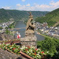 Cochem (Mosel) - 2013IMG_1062