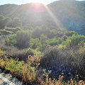 Griechenland_Kreta_Arkadi-Kloster_Potamon-Stausee_2022-06-12_116