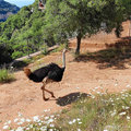 Griechenland_Kreta_Arkadi-Kloster_Potamon-Stausee_2022-06-12_69