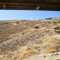 Klicken zum Vergrößern: Petrified Forest (Lesbos)