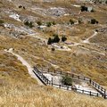 Klicken zum Vergrößern: Petrified Forest (Lesbos)