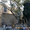 Griechenland_Rhodos2016-09-0820160908_183924