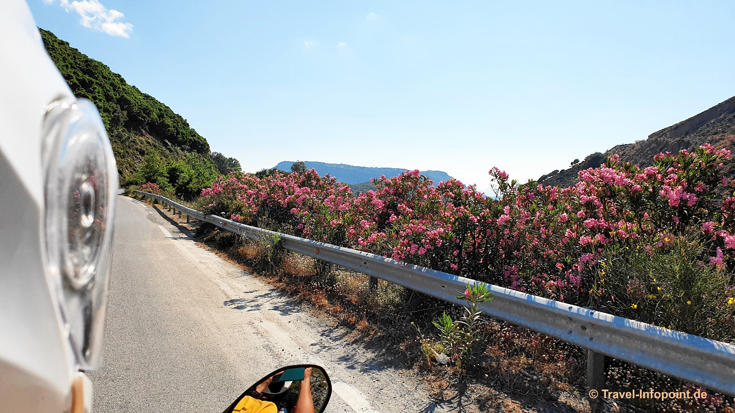 Kreta: Oleander