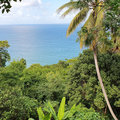 Karibik-Kreuzfahrt_AIDAperla_Grenada_2019-12-04_95