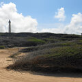 Karibik-Kreuzfahrt_AIDAperla_Aruba-Ausflug_2023-12-23_114