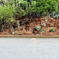 Karibik-Kreuzfahrt_AIDAperla_Bonaire-Ausflug_2023-12-25_20