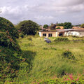 Karibik-Kreuzfahrt_AIDAperla_Curacao-Ausflug_2023-12-24_47