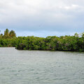 Karibik-Kreuzfahrt_AIDAperla_Saona-Ausflug-mit-Atze_2023-12-21_109