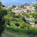 Karibik-Kreuzfahrt_AIDAperla_Dominica-Ausflug_2023-12-17_21