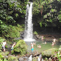 Karibik-Kreuzfahrt_AIDAperla_Dominica-Ausflug_2023-12-17_74