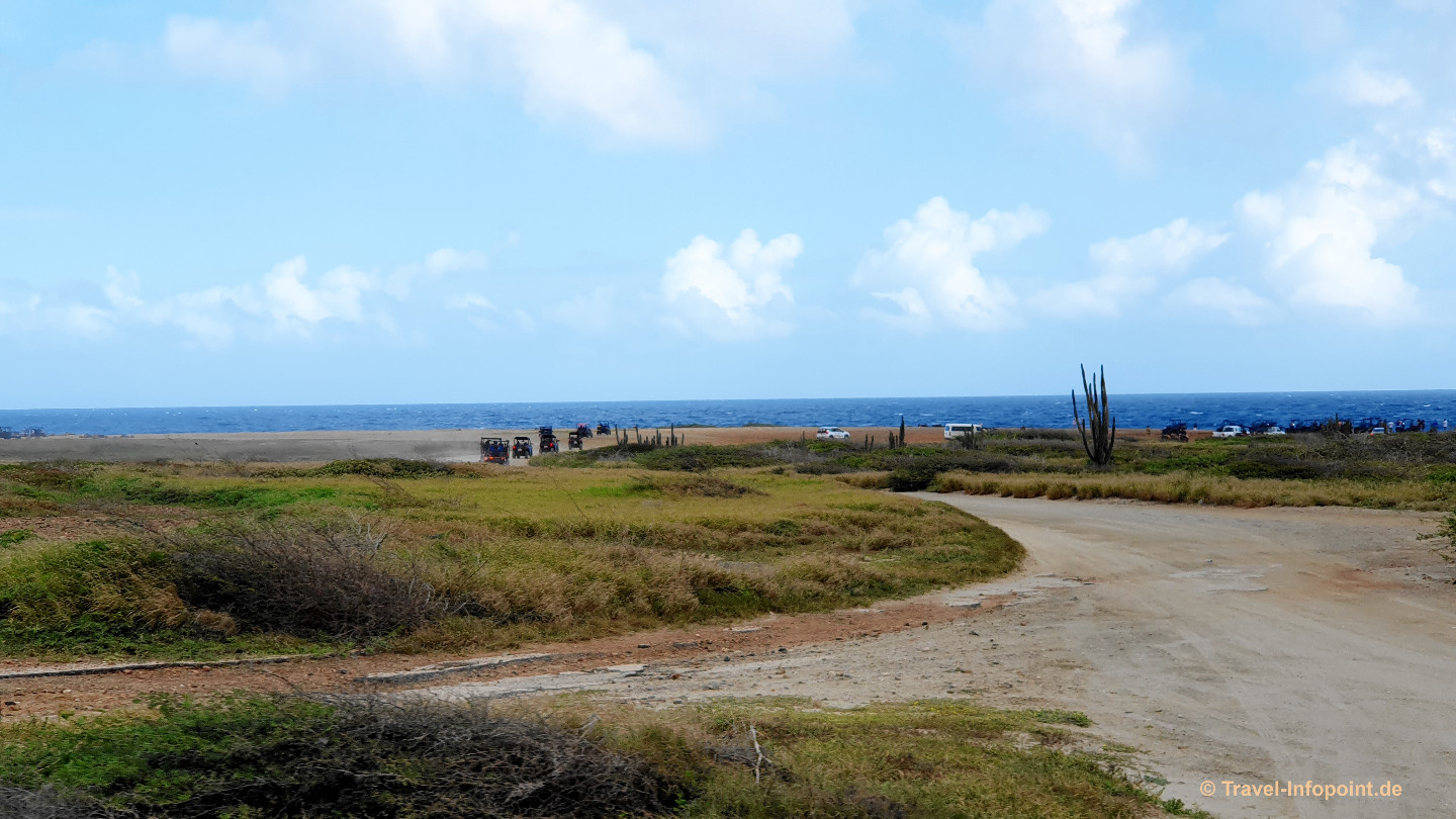 Aruba: Nordostküste