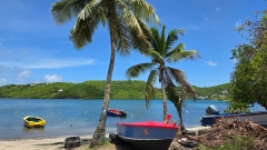 Ausflug zur Südküste