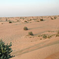 VAE_Dubai_desert-safari_2023-03-14_55