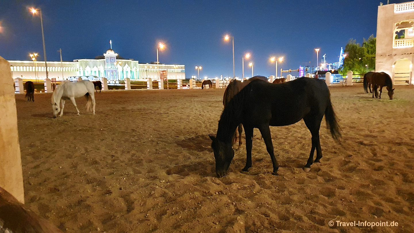 Katar / Doha: Night City Tour 13