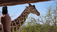 Orient-Kreuzfahrt: Oman / Khasab