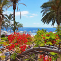 Klick mich: Hotelinfos Sunlight Bahia Principe Costa Adeje